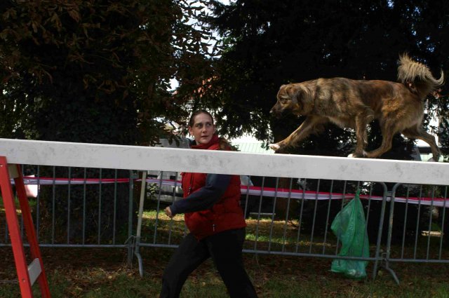 foire-haricots 2011-09-17et18